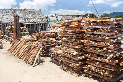 木柴購物視覺全攻略 從圖片素材到創意插畫，打造吸睛營銷